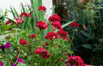 Casa Rural de Tío Félix - Foto 28