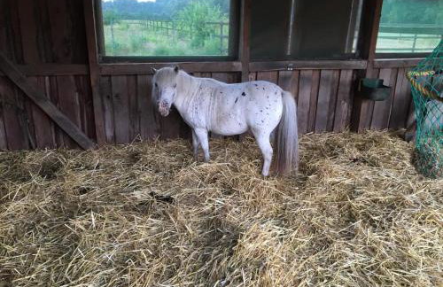 NEU! Moderne FeWo in Bönen - Foto 13