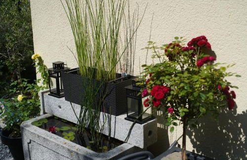 Ferienwohnung Ahrtalblick - Foto 75