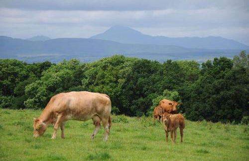 Old Leckie Farmstay - Foto 36