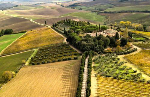 Villa Buonsignori - Wine & Olive Oil Farm - Foto 39