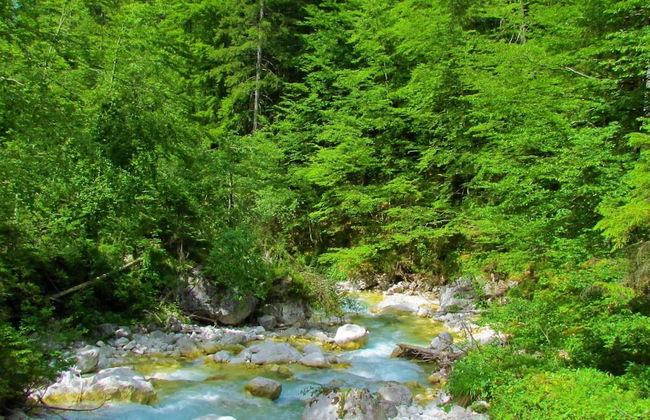 Pool Villa Katja Kranjska Gora - Foto 33