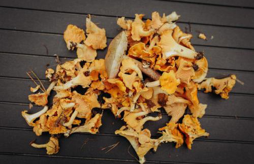 Miło las widzieć - Foto 36