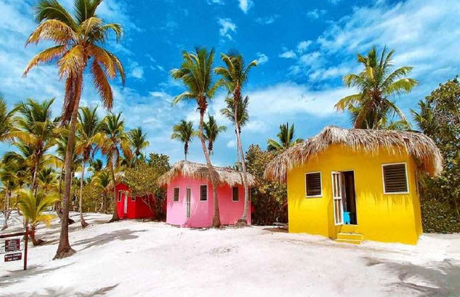 Cueva de las Maravillas, Catalina Island e Altos de Chavón - Tour de Dia Inteiro - Foto 7