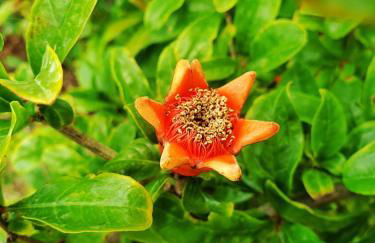 Anna's Stone House - Foto 48