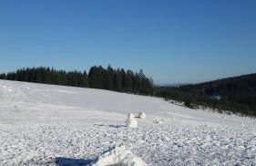 Übernachten in unseren Crutpracht Gästezimmern mit großem Bauernfrühstück, ab April 24 auch in der DUFFEL-SCHEUNE - Foto 40