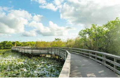 The Netherland by MIAMI BEACH OCEAN RENTAL - Foto 41