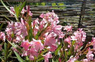L'ancienne école de Sainte-Marguerite - Foto 30