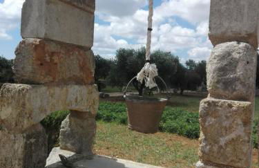 Palacca, trullo salentino - Foto 19
