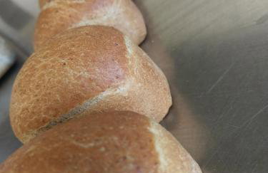 Mansion House Llansteffan - Foto 13