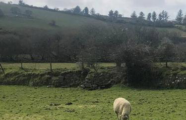 The Artists Barn - Foto 18