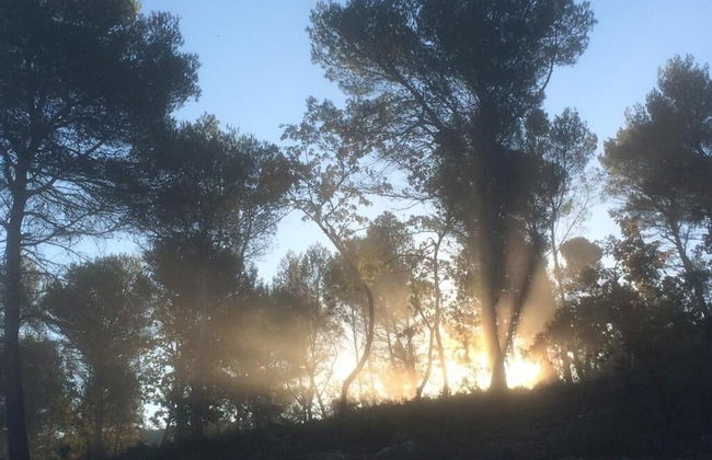 Appartement les Ecureuils - Photo 28