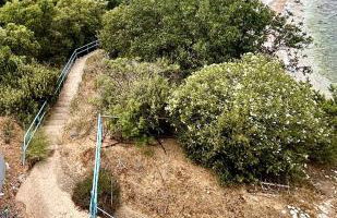 Apartment Xenia - Photo 10