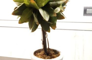 Lucas Haus - Foto 20