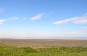 Komfortable Apartments in der Villa Eule - Foto 46