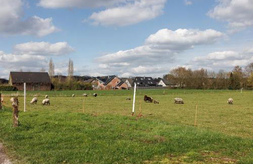 VISTAMO Dorsten-Rhade, modernes Apartment - Foto 34