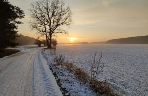 Ferienhaus Erna - Foto 53