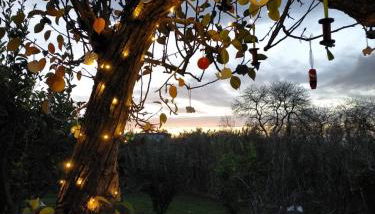 CASA RURAL LIMÓN Y SOL - Foto 3