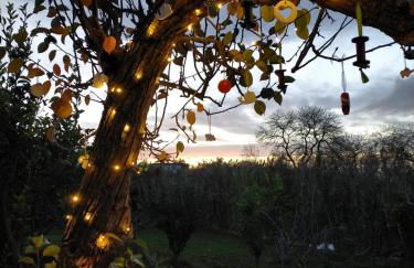 CASA RURAL LIMÓN Y SOL - Foto 3