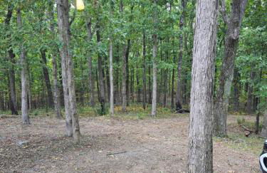 Lula Lake Cabin - Foto 23