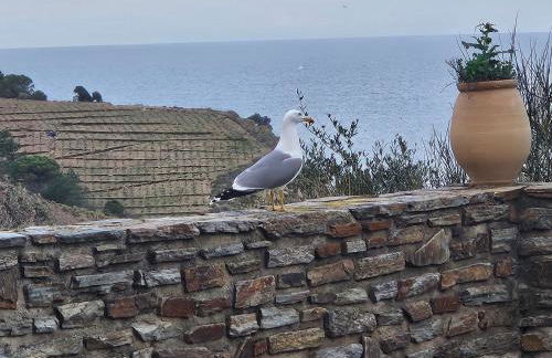 Appartement climatisé Banyuls sur Mer face à la mer - Foto 15