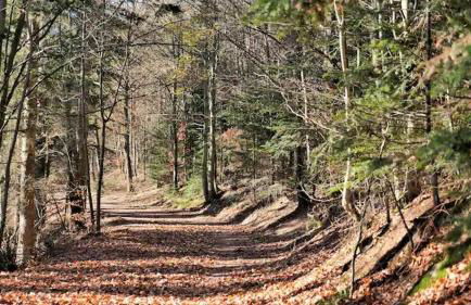 Studio en résidence, aux Trois-Epis - Foto 8