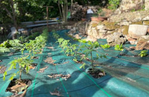 Villa degli Ulivi - Foto 59