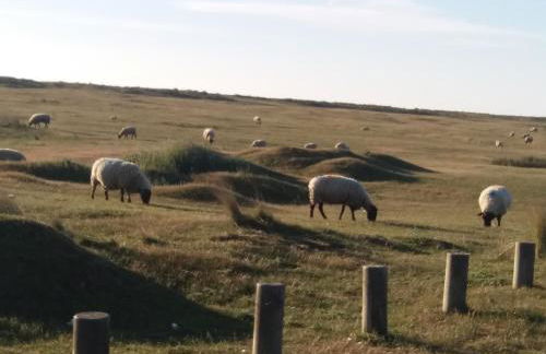 Maison de La Beslière meublé de tourisme 2 étoiles - Foto 66