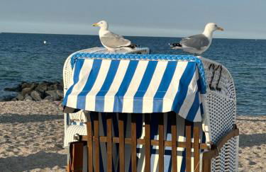 Toplage direkt an der Steilküste - FeWo 2 "Ostseenest" Hohwacht - Foto 18