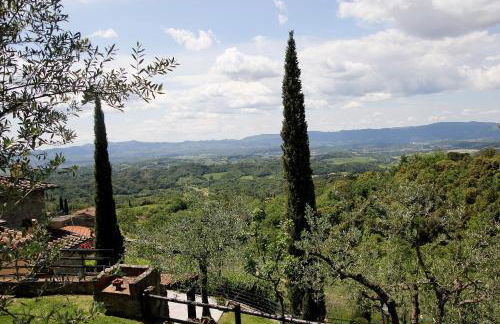 Tuscany Villa Chianti Hills - Villa Oliveta - Foto 14