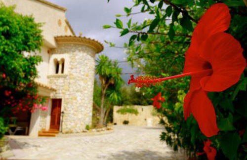 Son Jan Nou - Foto 16