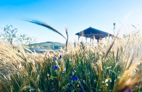 Cortijo Al-Andalus - Foto 30