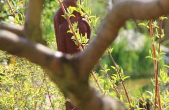 Ferienwohnung Dr. Vera Schmidt - Foto 17