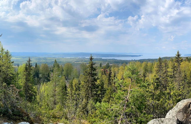 4 Person Holiday Home in Tallberg-by Traum - Foto 13