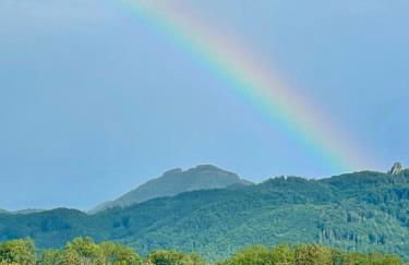 Ferienhaus AlmauBayern - mit Bergblick und großem Garten - Foto 59