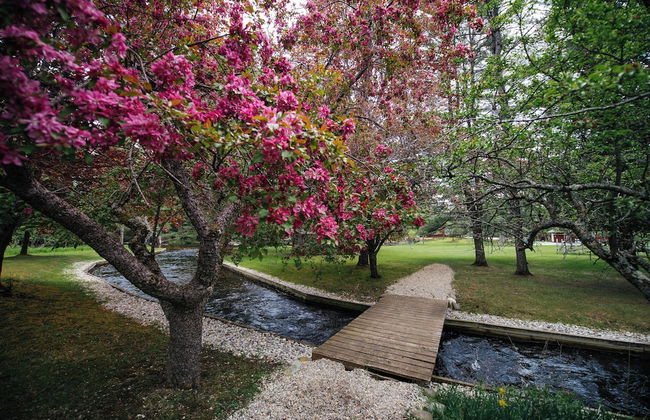 Grayling Gem Royal Stag Lodge - Foto 68