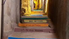 Martina Malmostosa - Foto 5