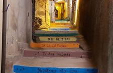 Martina Malmostosa - Foto 5