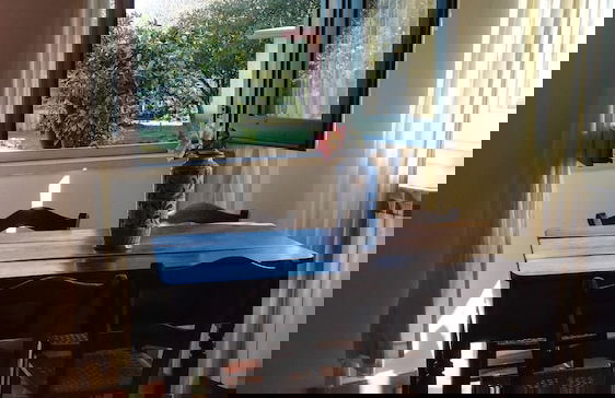 Tenuta San Calogero - Foto 27