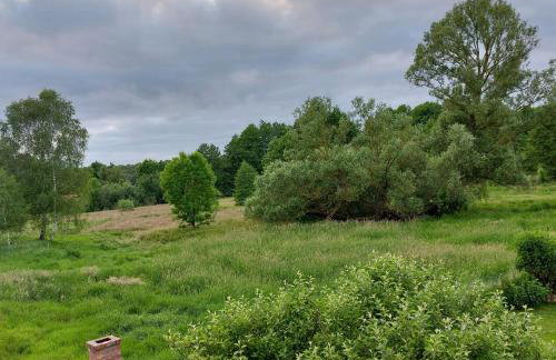 Ferienhaus Storchenwiese, Wald, Strand, Natur - Foto 17