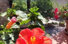 Casa Badia - Foto 24