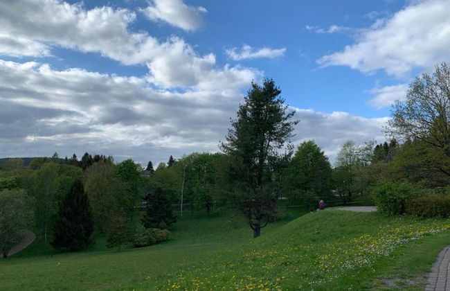 Forest-edge Braunlage Home - Foto 38