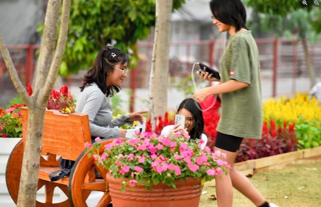 Pandora's Nest - Foto 52