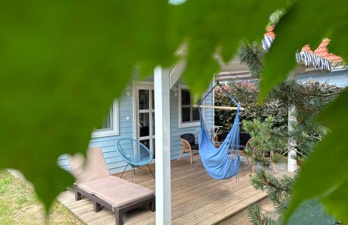 Kwiat Paproci - Foto 43