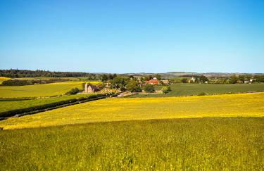 Carinya Cottage - Detached cosy cottage near Alnwick and Warkworth - Foto 21