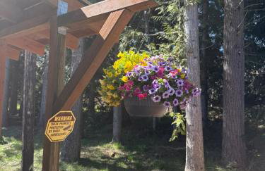 Serene Cottage in the Woods - Photo 2