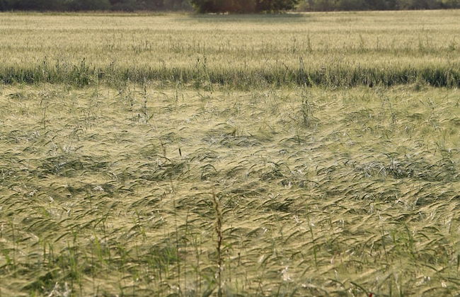 Agriturismo Argaland - Foto 74