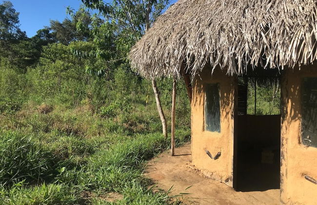 Ayahuaska - Photo 39