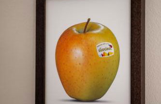 Untermoarhof Albeins - Foto 24