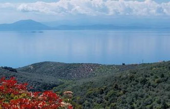 Panorama Studio Afetes - Photo 71